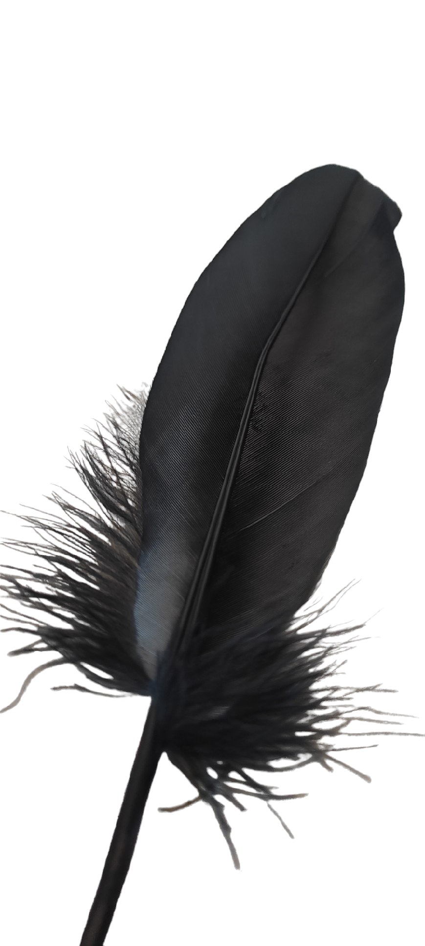 Piórko erotyczne - obrazek 2